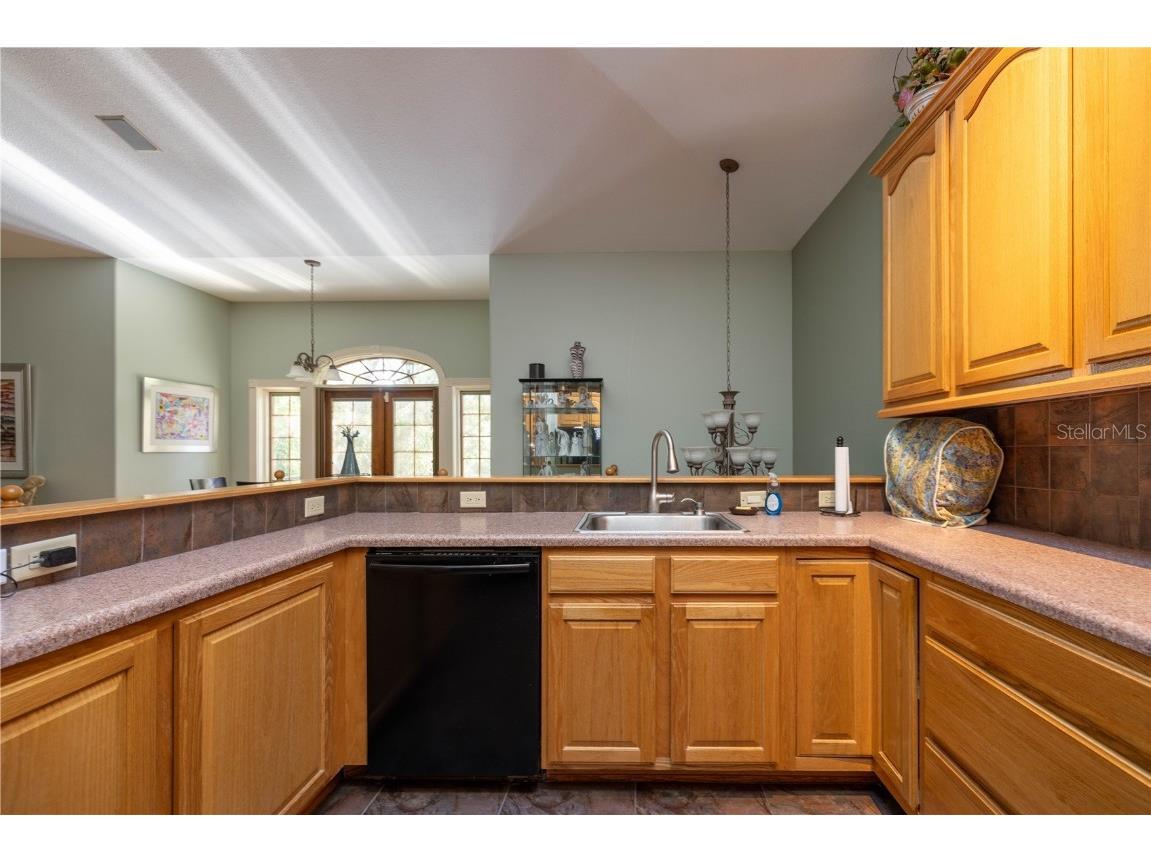 1252 E Lake Drive Tarpon Springs FL 34688 TB8431734 image27