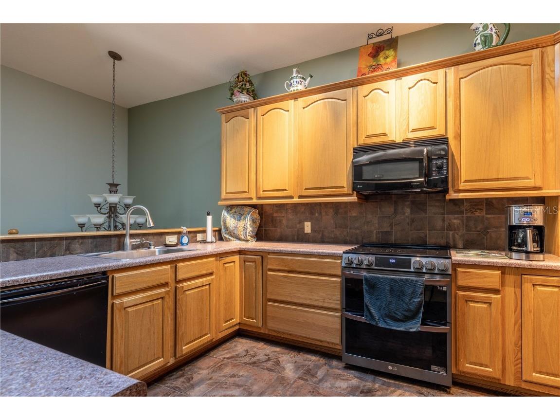 1252 E Lake Drive Tarpon Springs FL 34688 TB8431734 image28