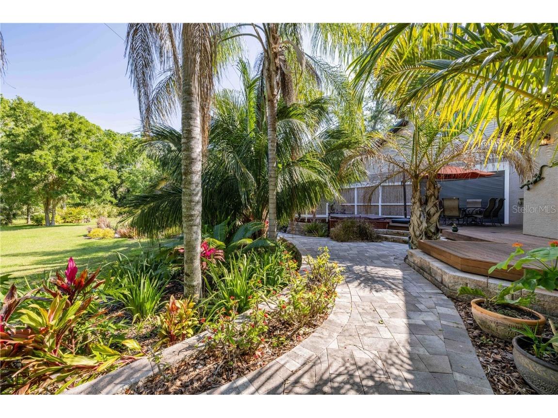 1252 E Lake Drive Tarpon Springs FL 34688 TB8431734 image36