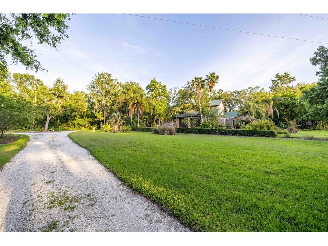 1252 E Lake Drive Tarpon Springs FL 34688 TB8431734 image47