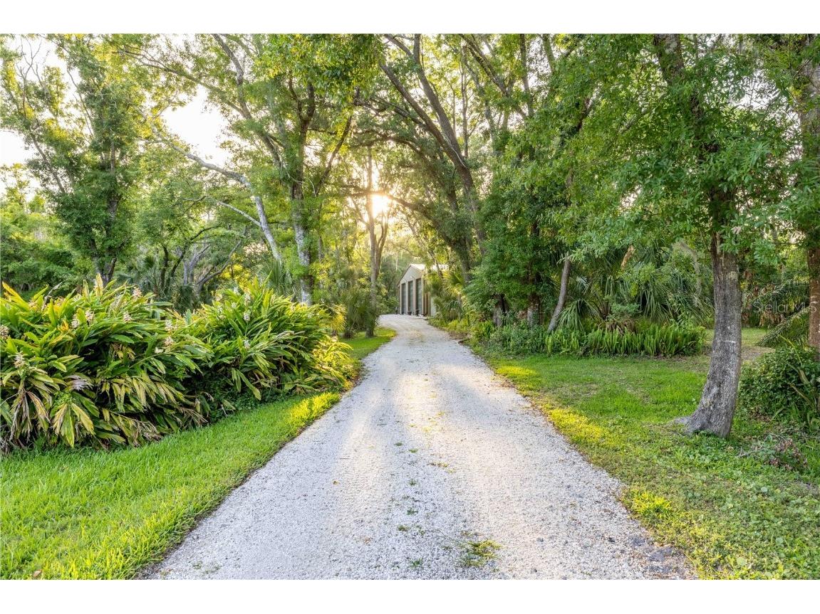 1252 E Lake Drive Tarpon Springs FL 34688 TB8431734 image48