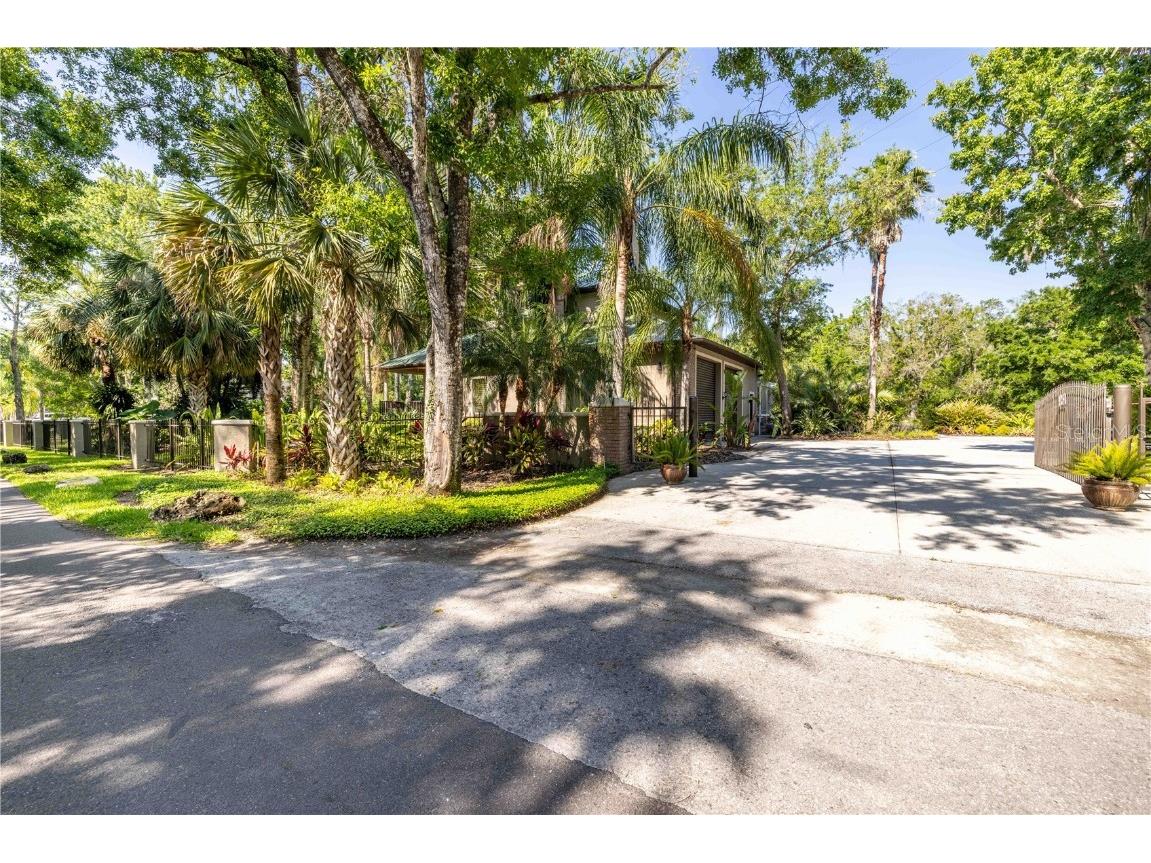 1252 E Lake Drive Tarpon Springs FL 34688 TB8431734 image5