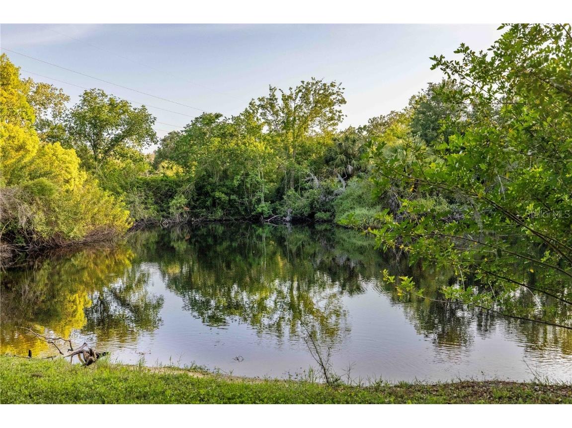 1252 E Lake Drive Tarpon Springs FL 34688 TB8431734 image58