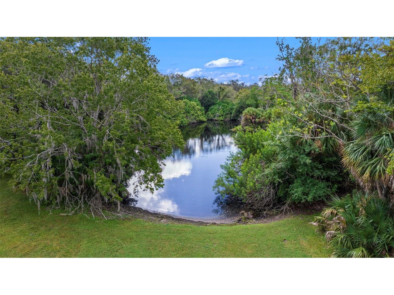 1252 E Lake Drive Tarpon Springs FL 34688 TB8431734 image59