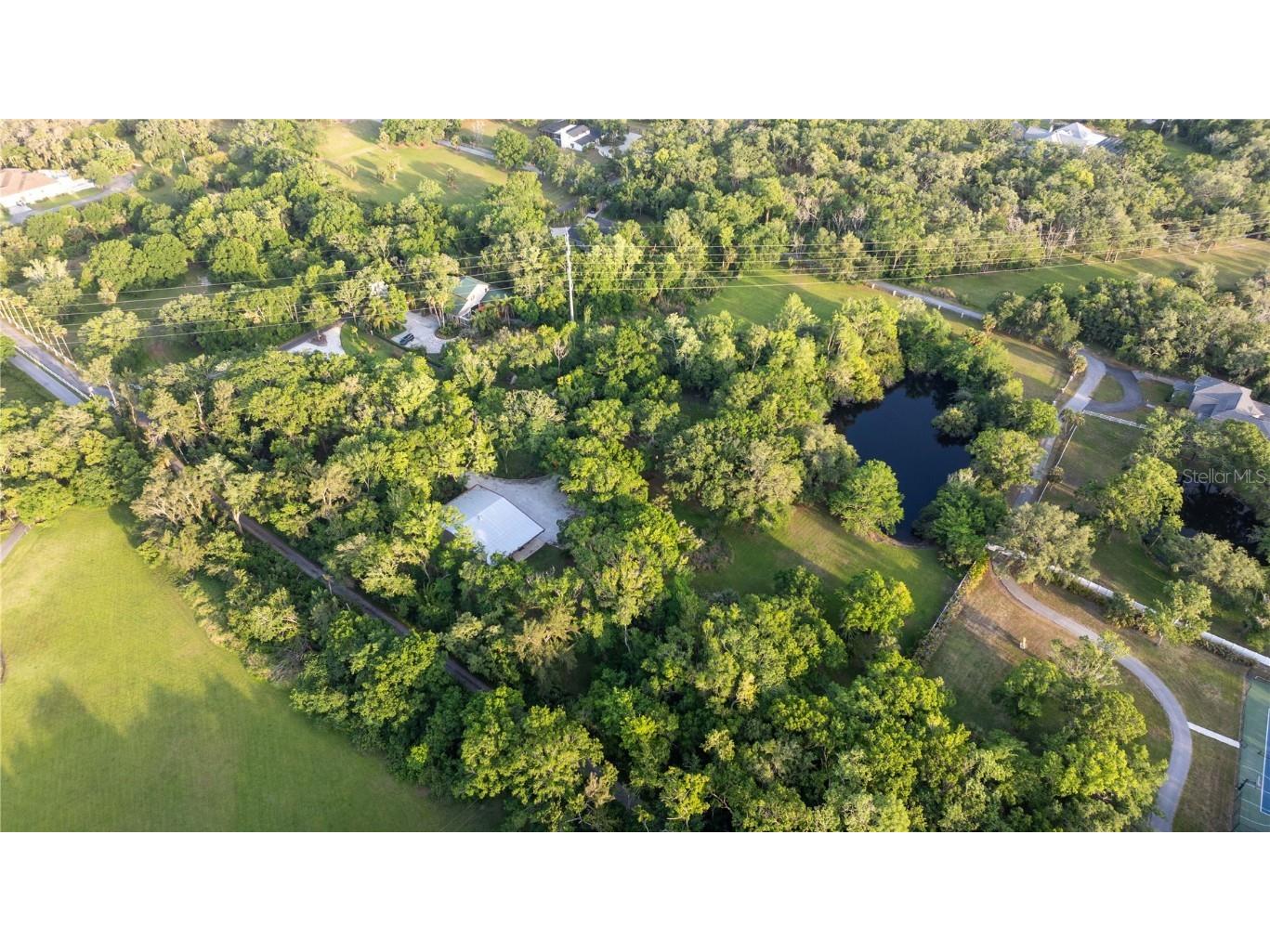 1252 E Lake Drive Tarpon Springs FL 34688 TB8431734 image60