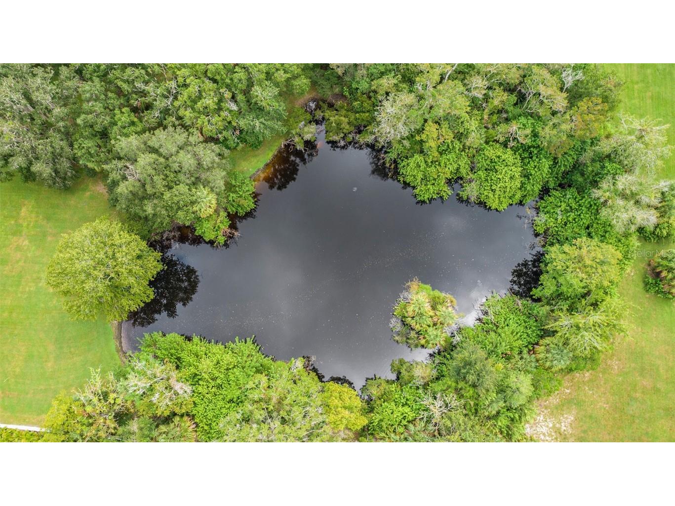 1252 E Lake Drive Tarpon Springs FL 34688 TB8431734 image62