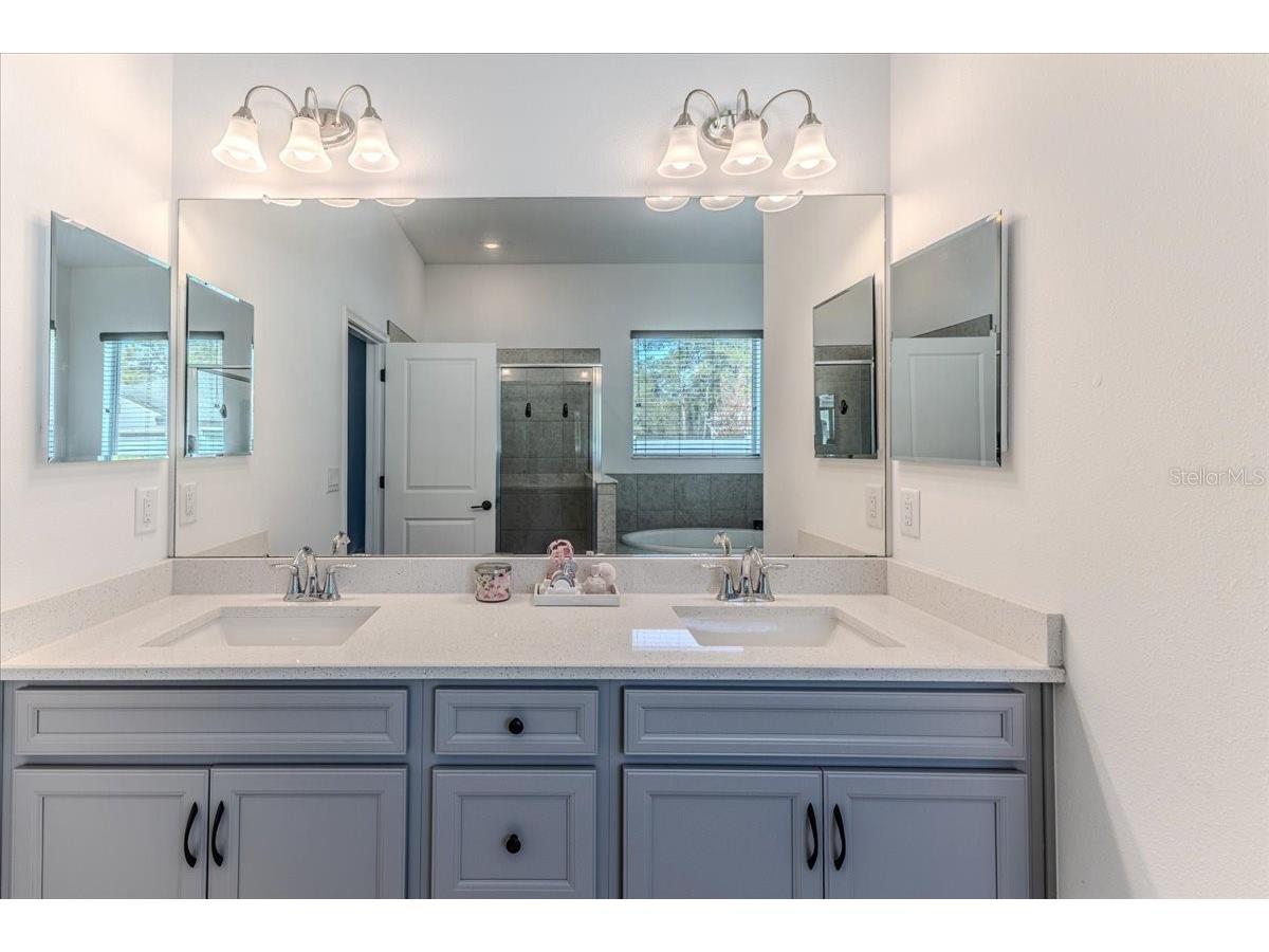 1252 Kelsa Anne Drive Spring Hill FL 34609 W7884051 image26