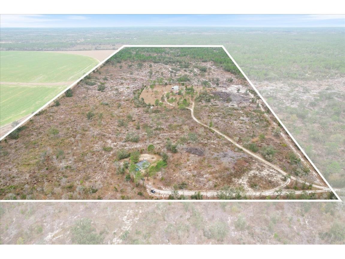 1252 NE 117th Terrace Williston FL 32696 W7861326 image1