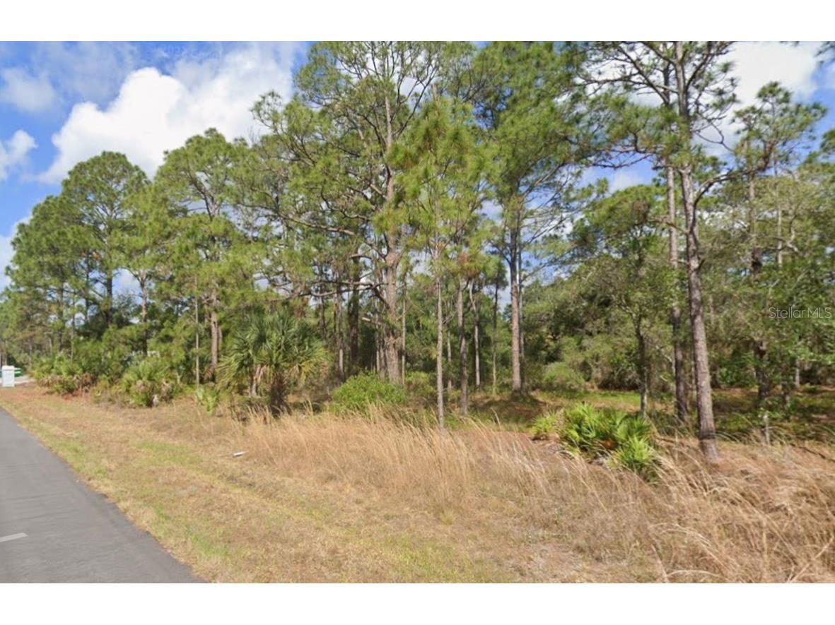 1252 Rambler Terrace Port Charlotte FL 33953 C7517554 image3