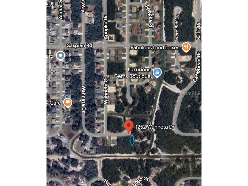 1252 Wahneta Drive Kissimmee FL 34759 O6057150 image6