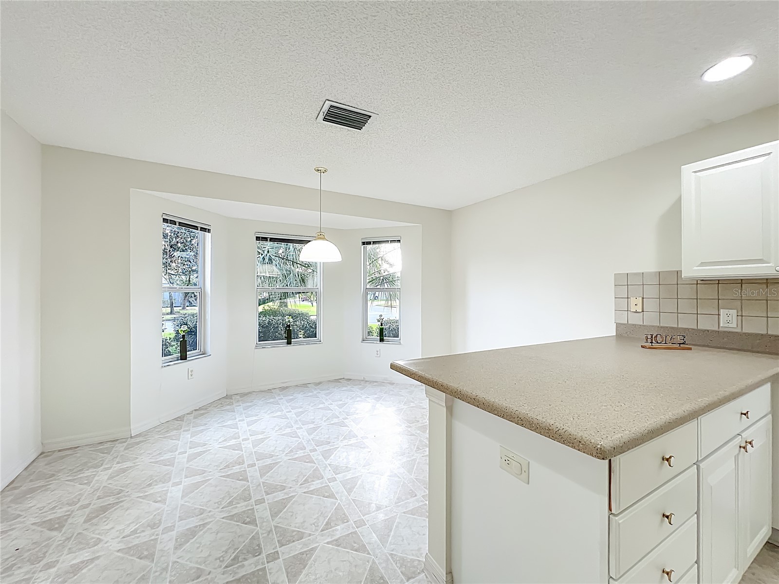 1252 Weaton Court The Villages FL 32162 O6346255 image20