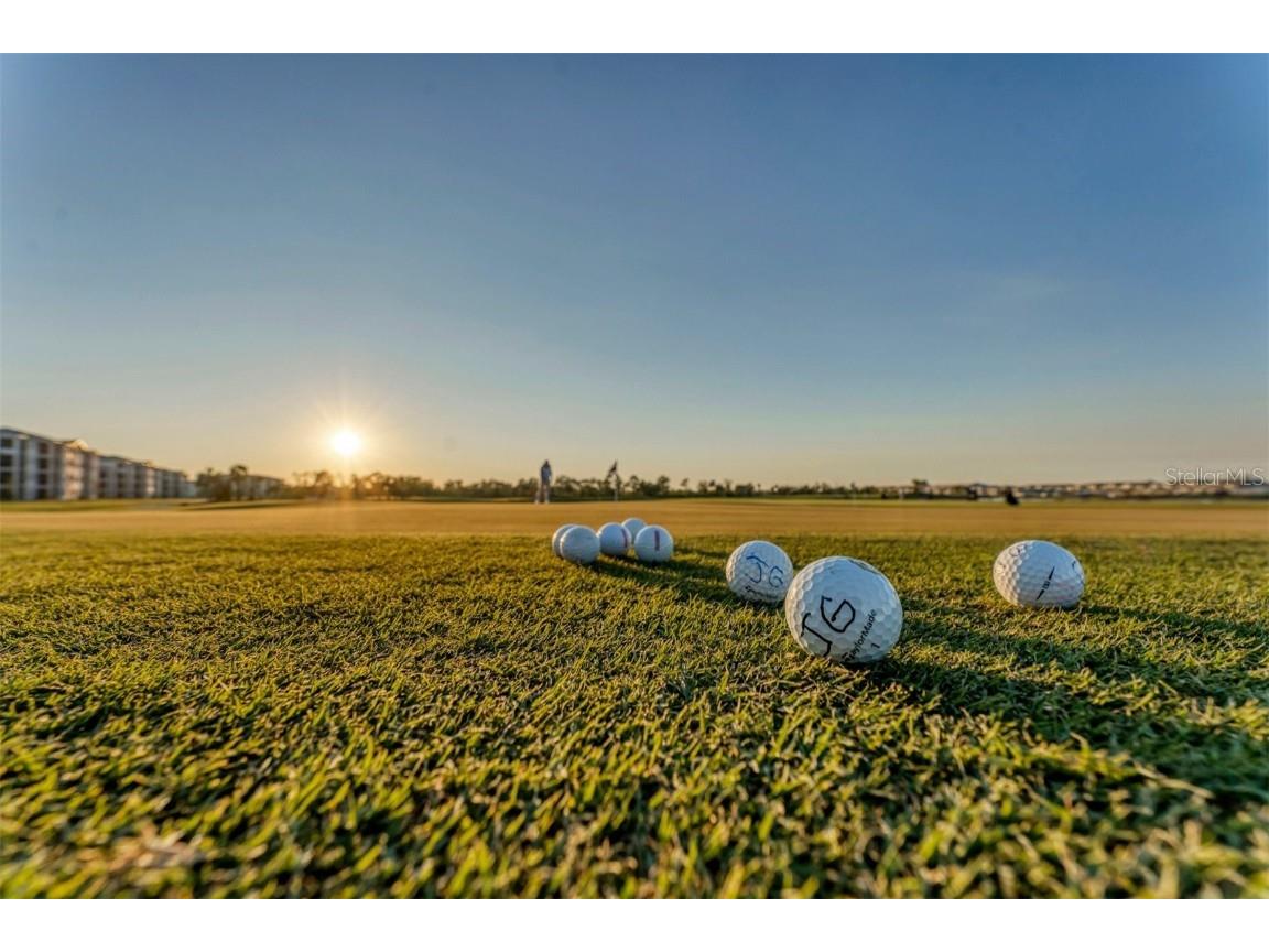 12520 Galapagos Court #102 Venice FL 34293 A4669991 image46