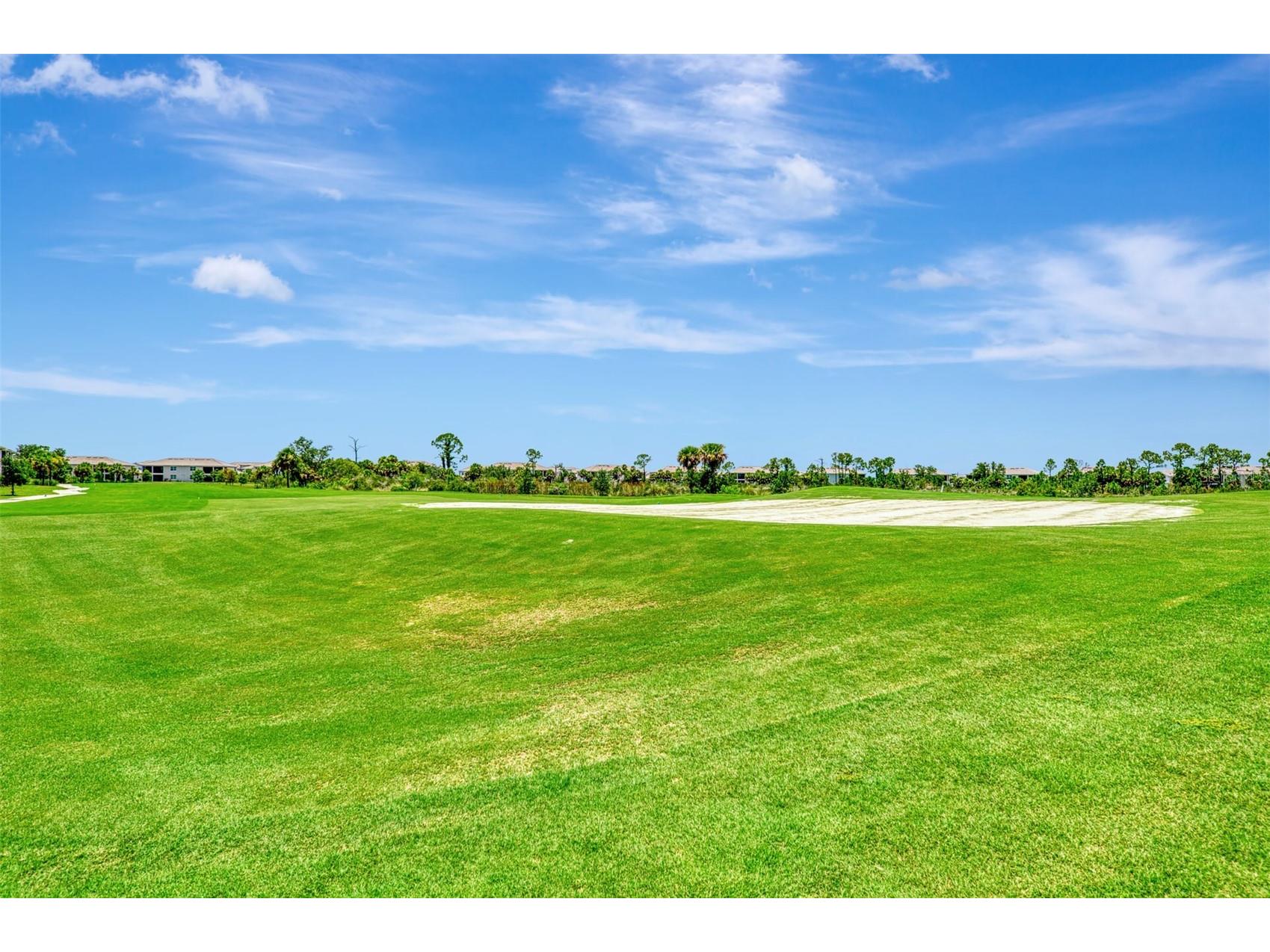 12520 Galapagos Court #102 Venice FL 34293 N6144862 image52