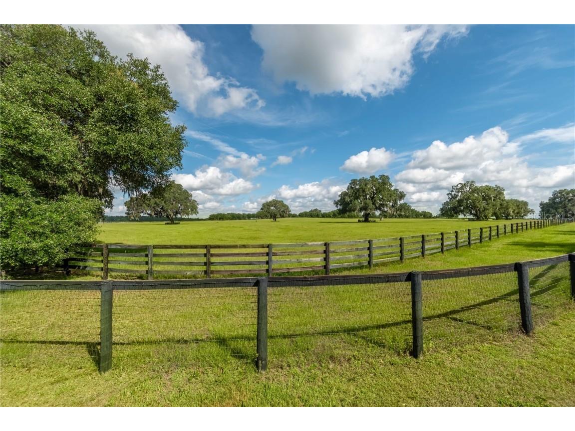 12520 NW 160th Street Reddick FL 32686 OM679448 image13