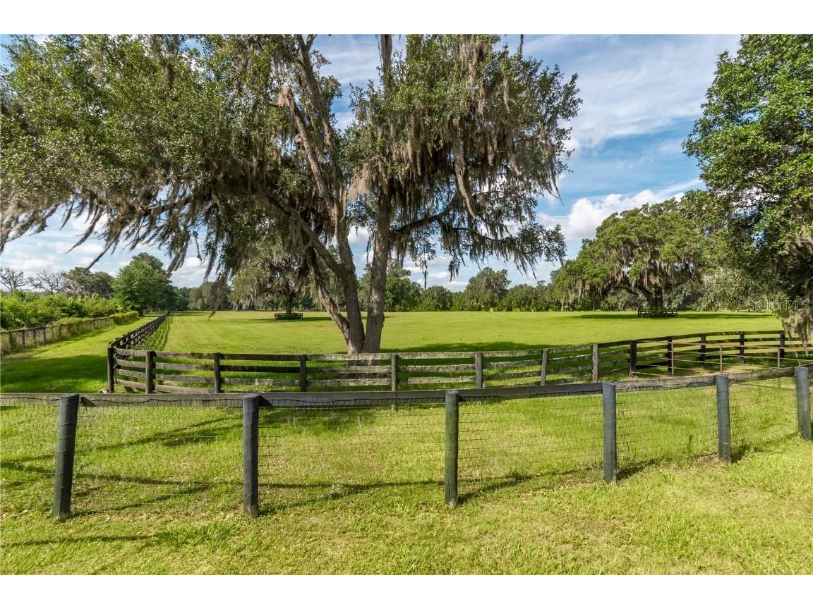 12520 NW 160th Street Reddick FL 32686 OM679448 image14