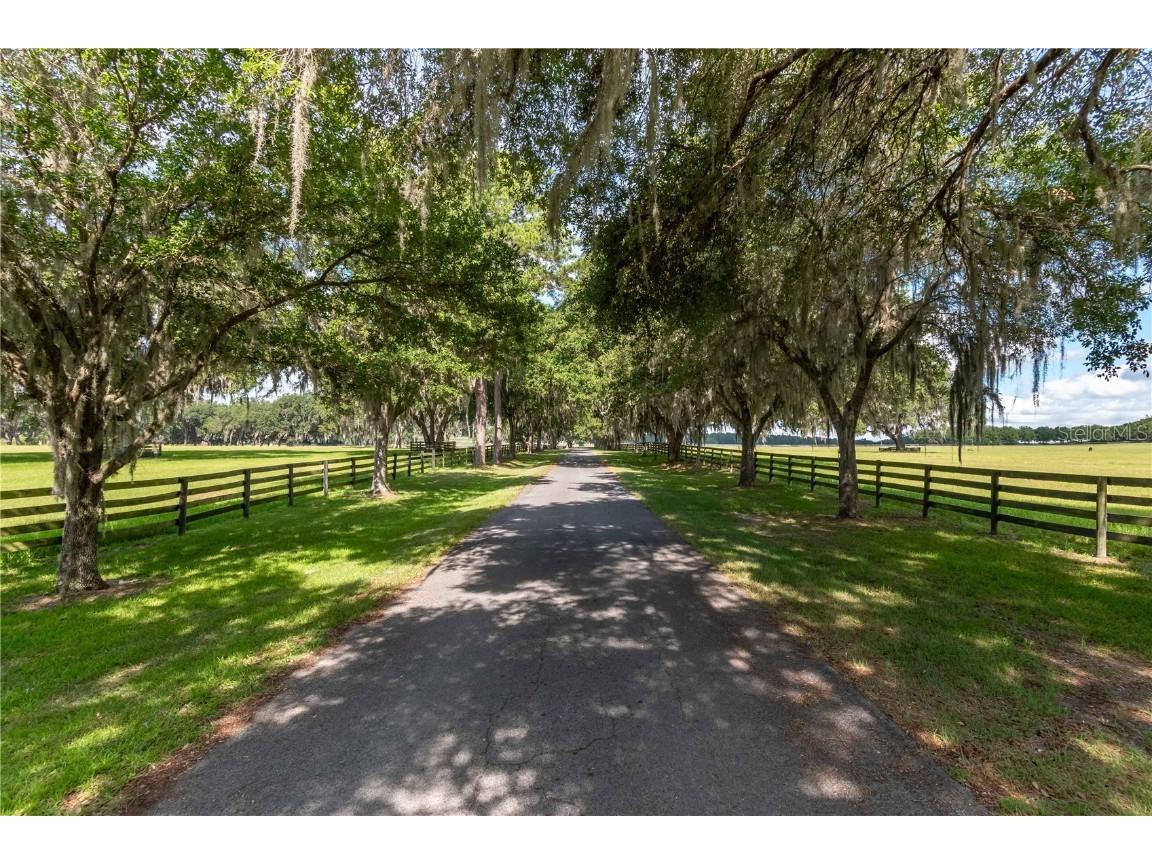 12520 NW 160th Street Reddick FL 32686 OM679448 image15