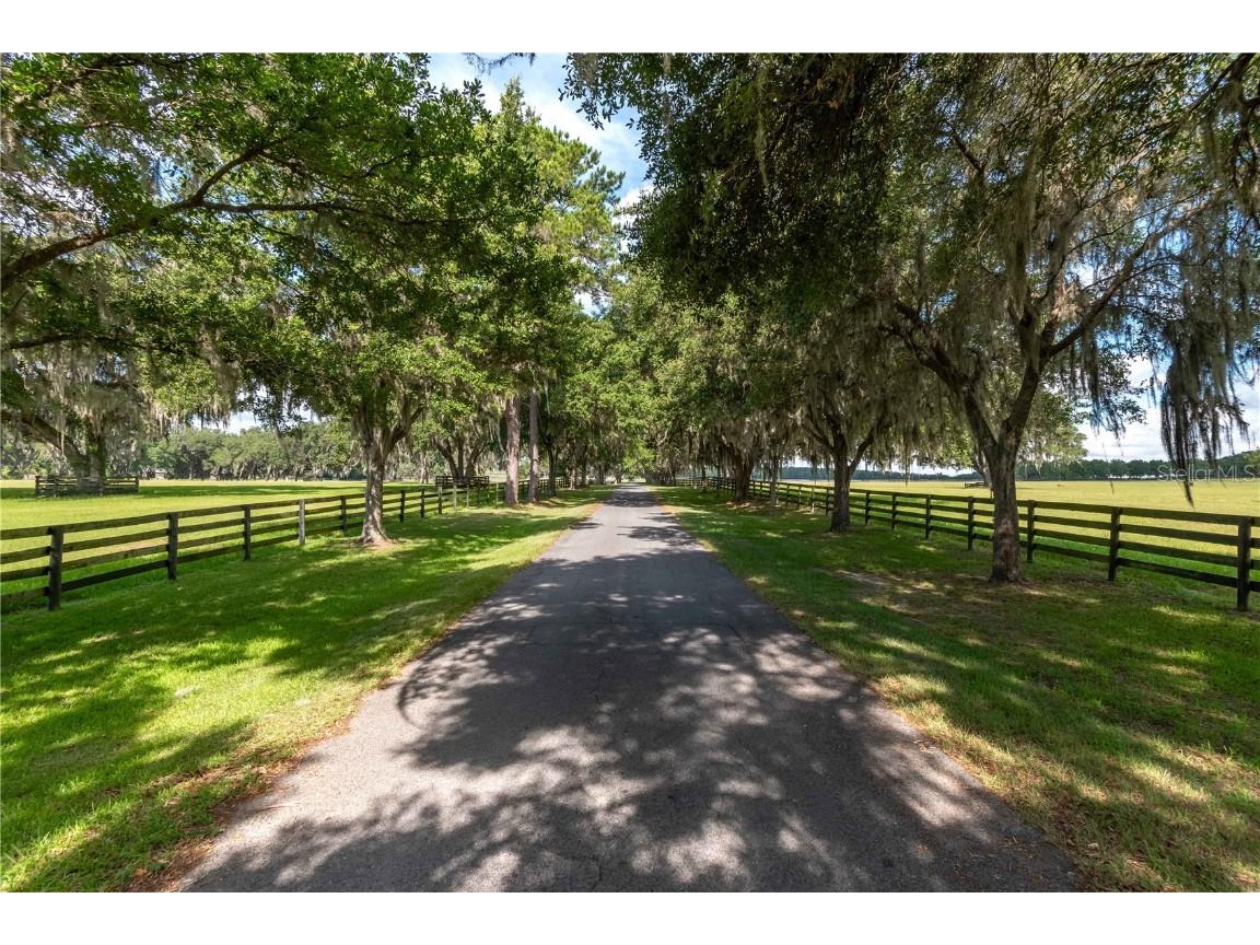 12520 NW 160th Street Reddick FL 32686 OM679448 image16