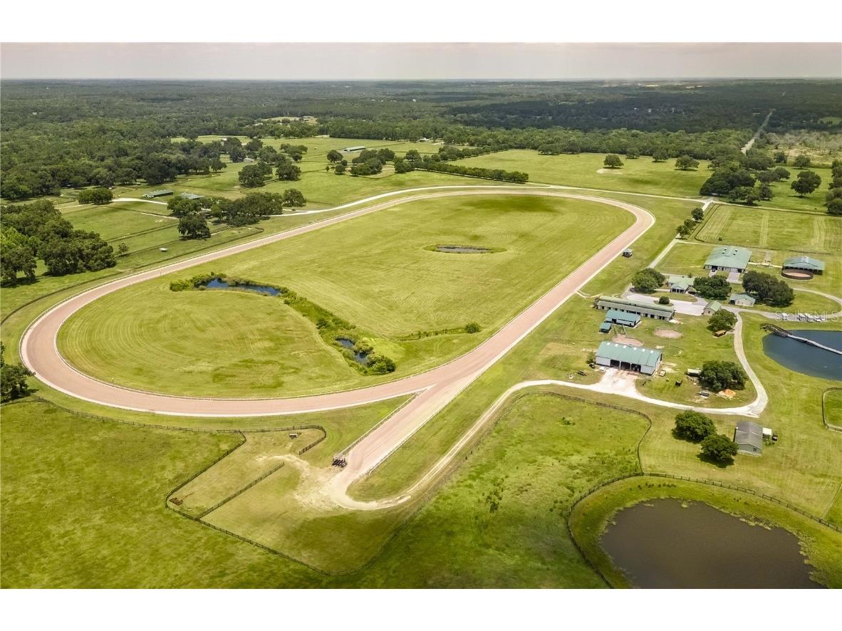 12520 NW 160th Street Reddick FL 32686 OM679448 image2