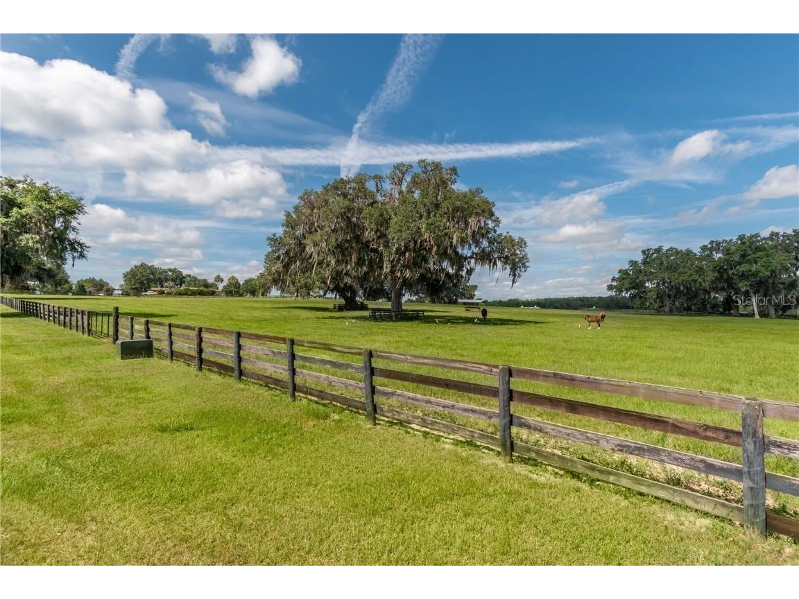 12520 NW 160th Street Reddick FL 32686 OM679448 image32