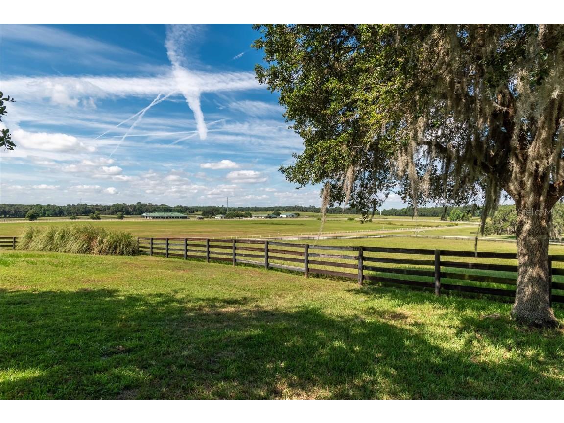 12520 NW 160th Street Reddick FL 32686 OM679448 image36