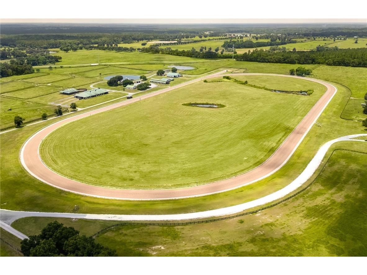 12520 NW 160th Street Reddick FL 32686 OM679448 image4