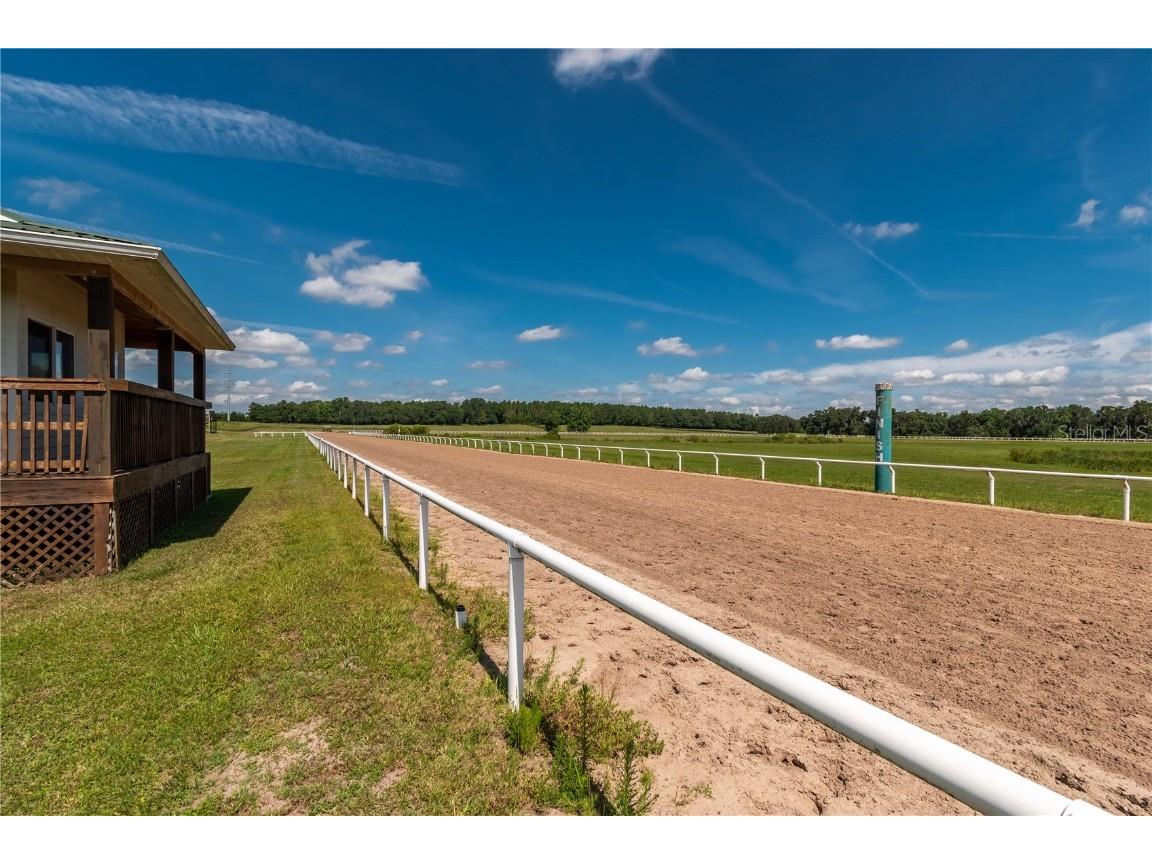 12520 NW 160th Street Reddick FL 32686 OM679448 image47