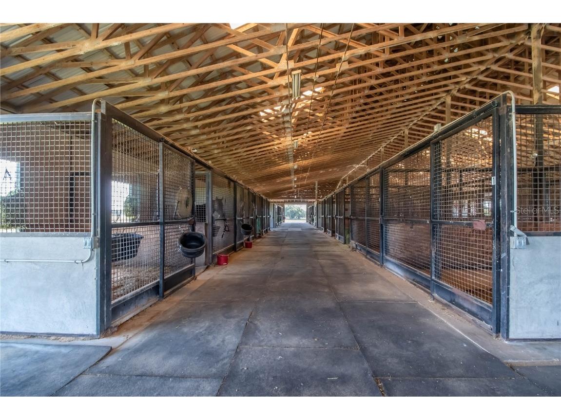 12520 NW 160th Street Reddick FL 32686 OM679448 image56