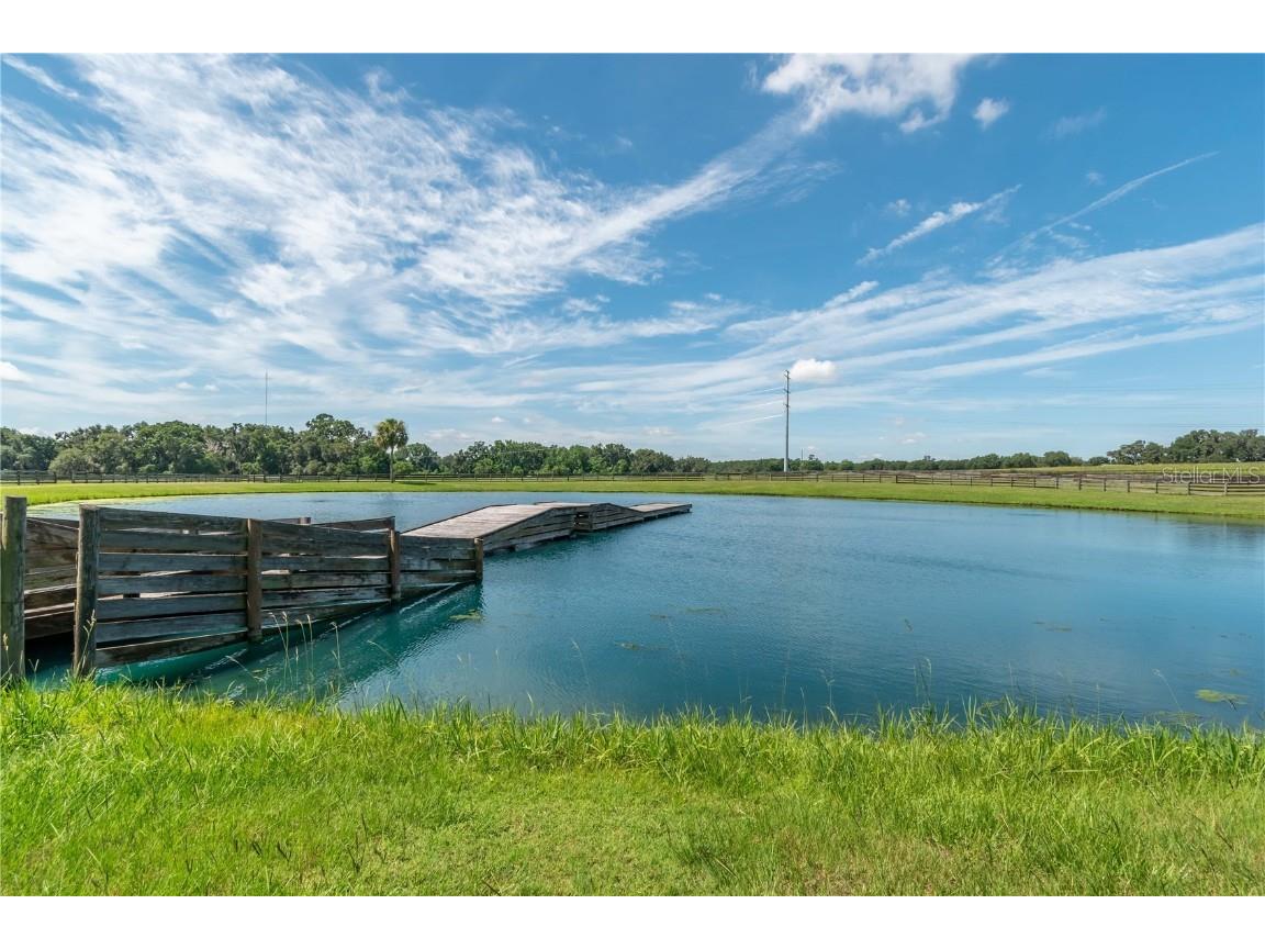 12520 NW 160th Street Reddick FL 32686 OM679448 image65
