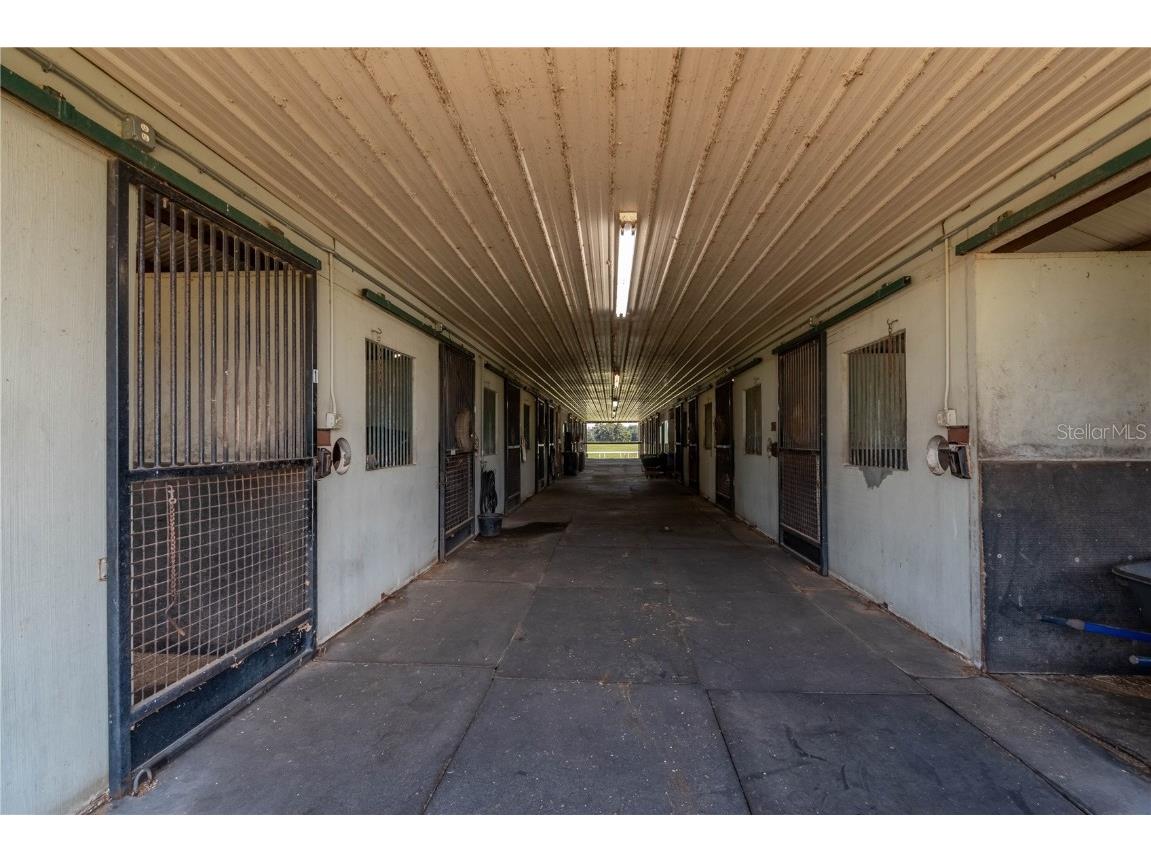 12520 NW 160th Street Reddick FL 32686 OM679448 image67