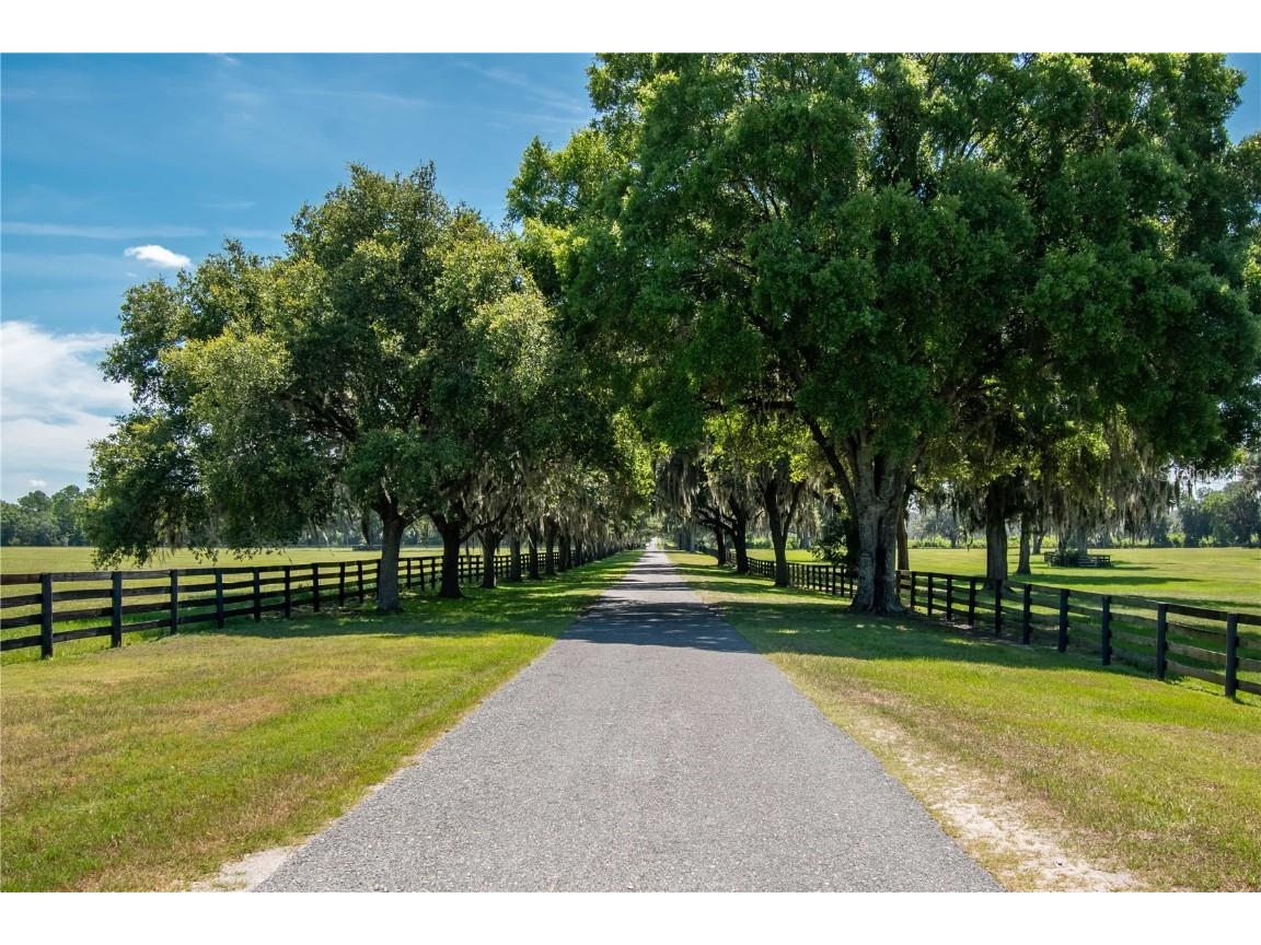 12520 NW 160th Street Reddick FL 32686 OM679448 image70