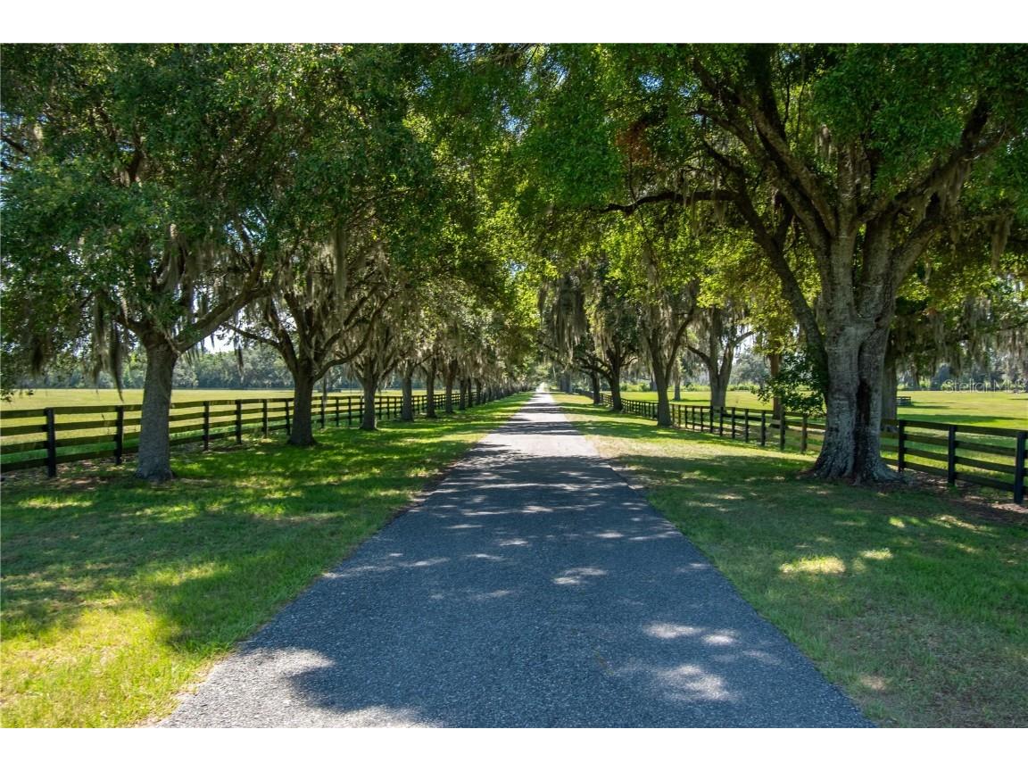 12520 NW 160th Street Reddick FL 32686 OM679448 image71