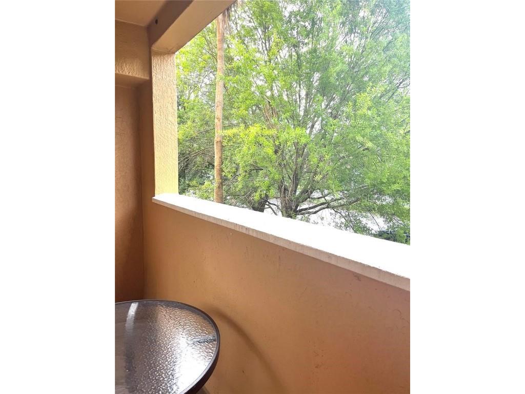 12521 Floridays Resort Drive #206F Orlando FL 32821 O6281537 image22