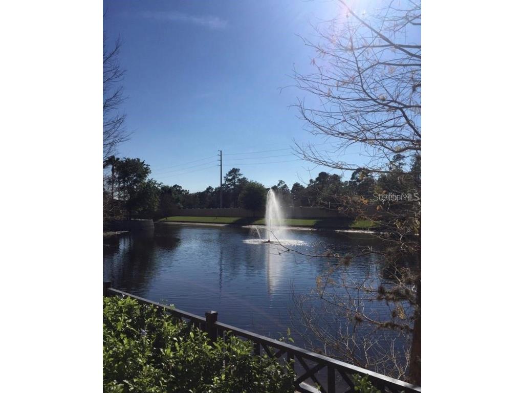 12521 Floridays Resort Drive #206F Orlando FL 32821 O6281537 image40
