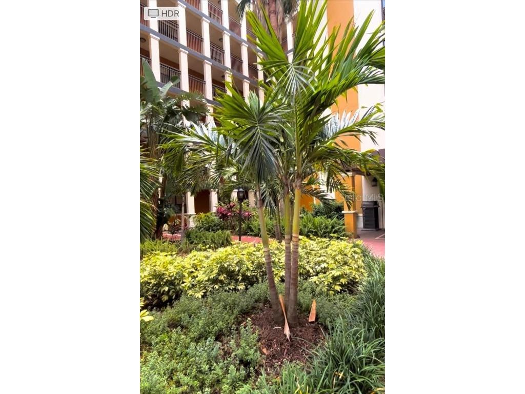 12521 Floridays Resort Drive #206F Orlando FL 32821 O6281537 image43