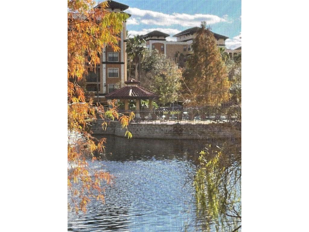 12521 Floridays Resort Drive #206F Orlando FL 32821 O6281537 image5