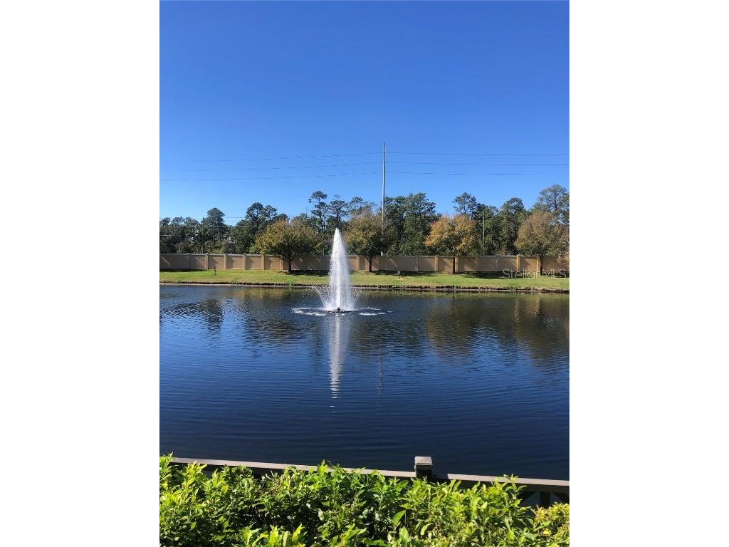 12521 Floridays Resort Drive #206F Orlando FL 32821 O6281537 image6