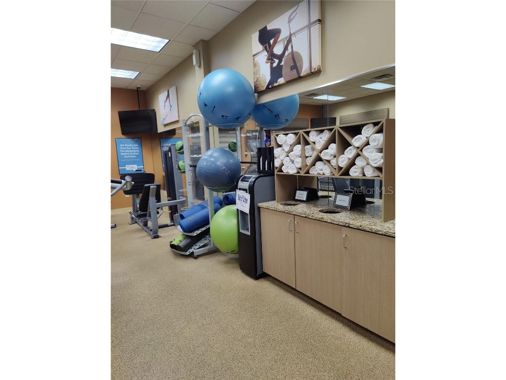 12521 Floridays Resort Drive #207F Orlando FL 32821 O6265327 image81