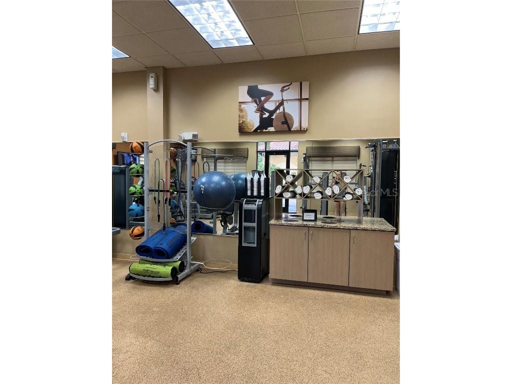 12521 Floridays Resort Drive #510F Orlando FL 32821 O6346487 image32