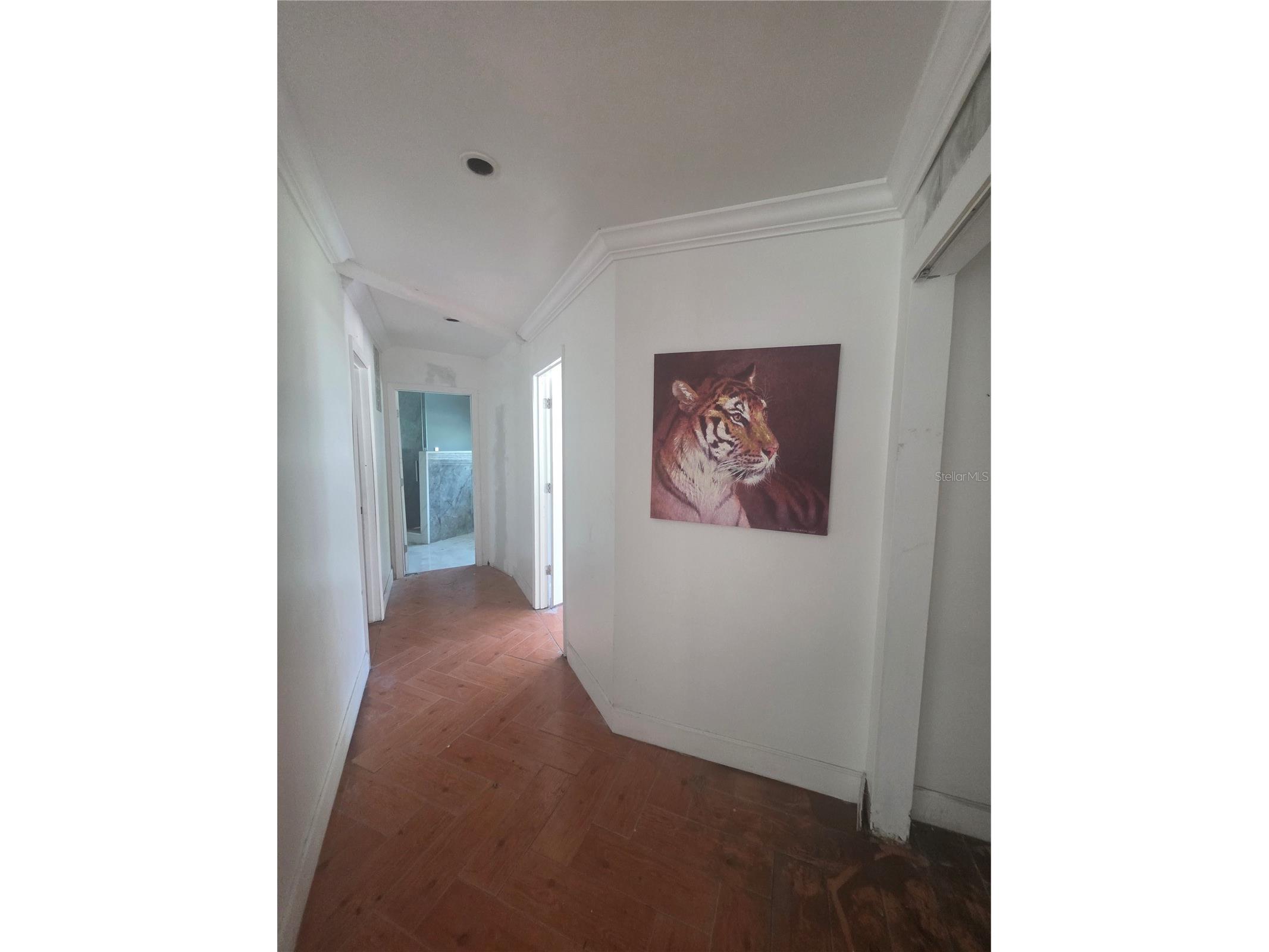 12521 Pittsfield Avenue Tampa FL 33624 W7885914 image27
