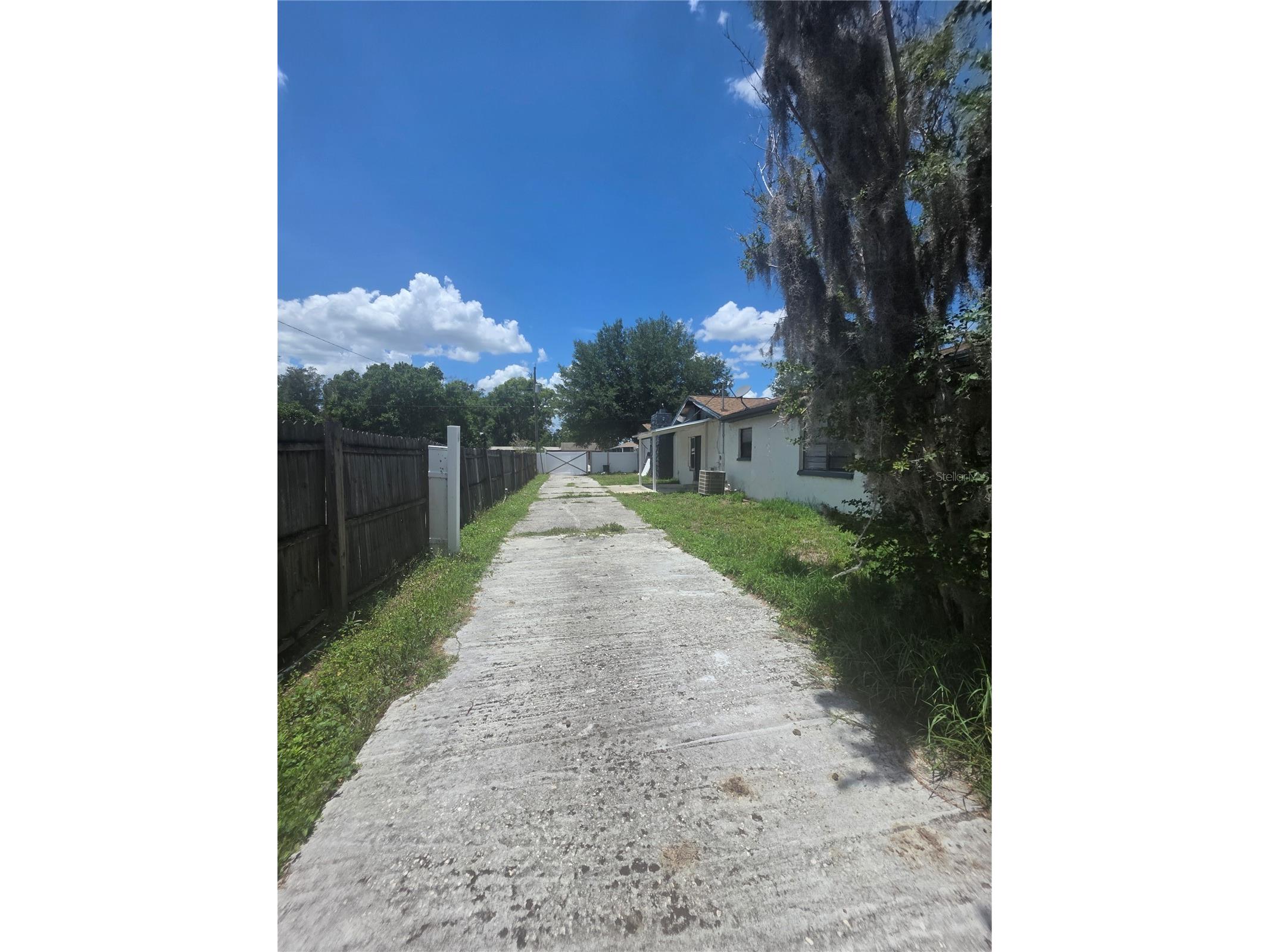 12521 Pittsfield Avenue Tampa FL 33624 W7885914 image3