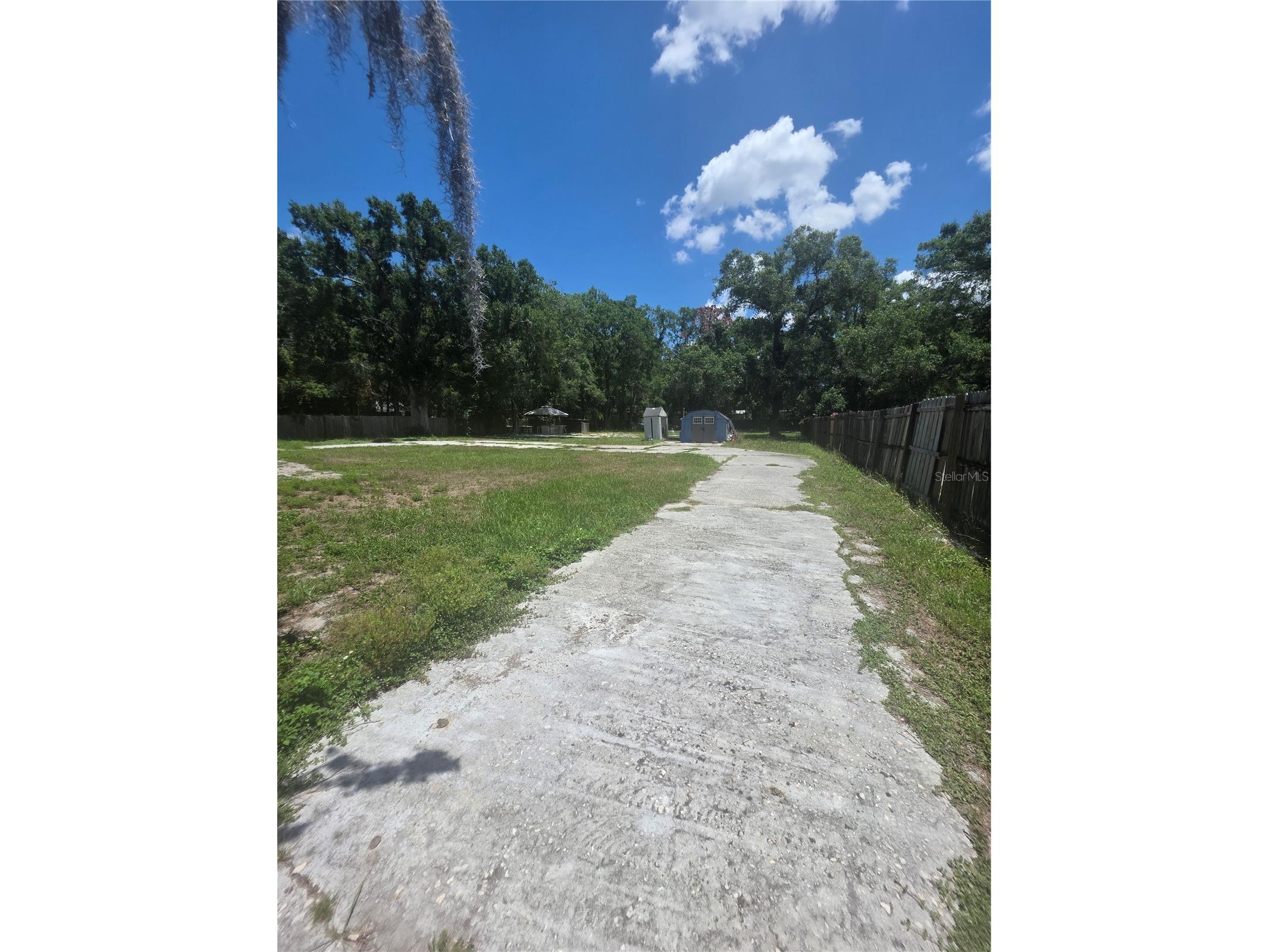 12521 Pittsfield Avenue Tampa FL 33624 W7885914 image5