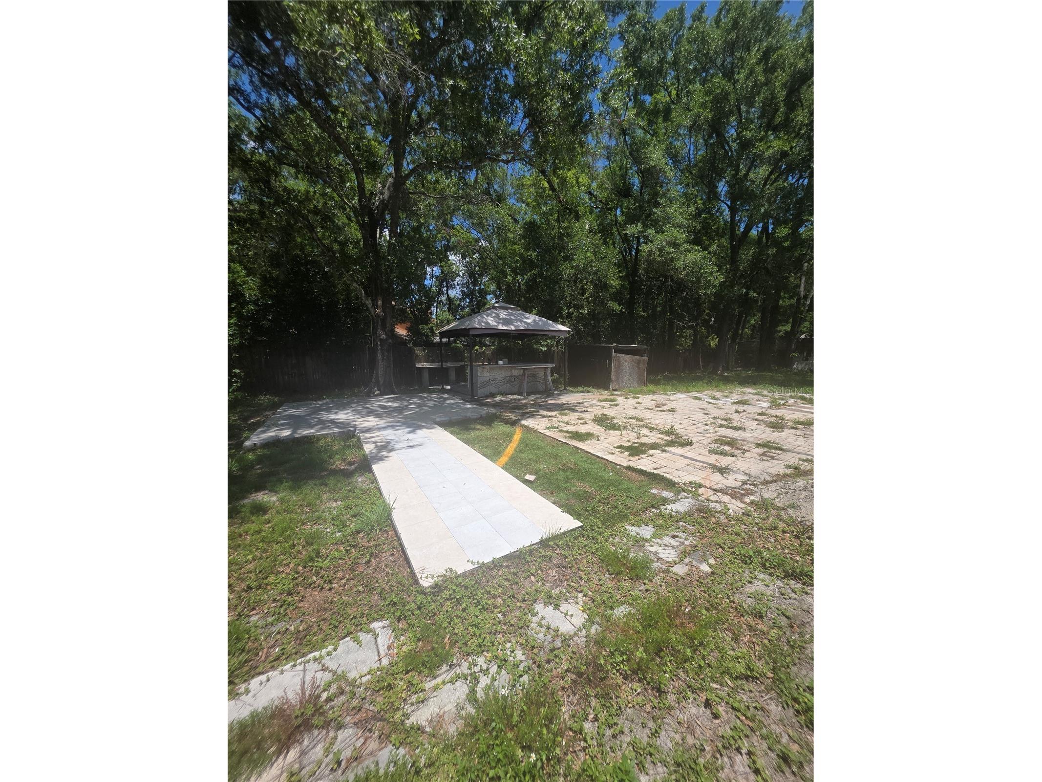 12521 Pittsfield Avenue Tampa FL 33624 W7885914 image6