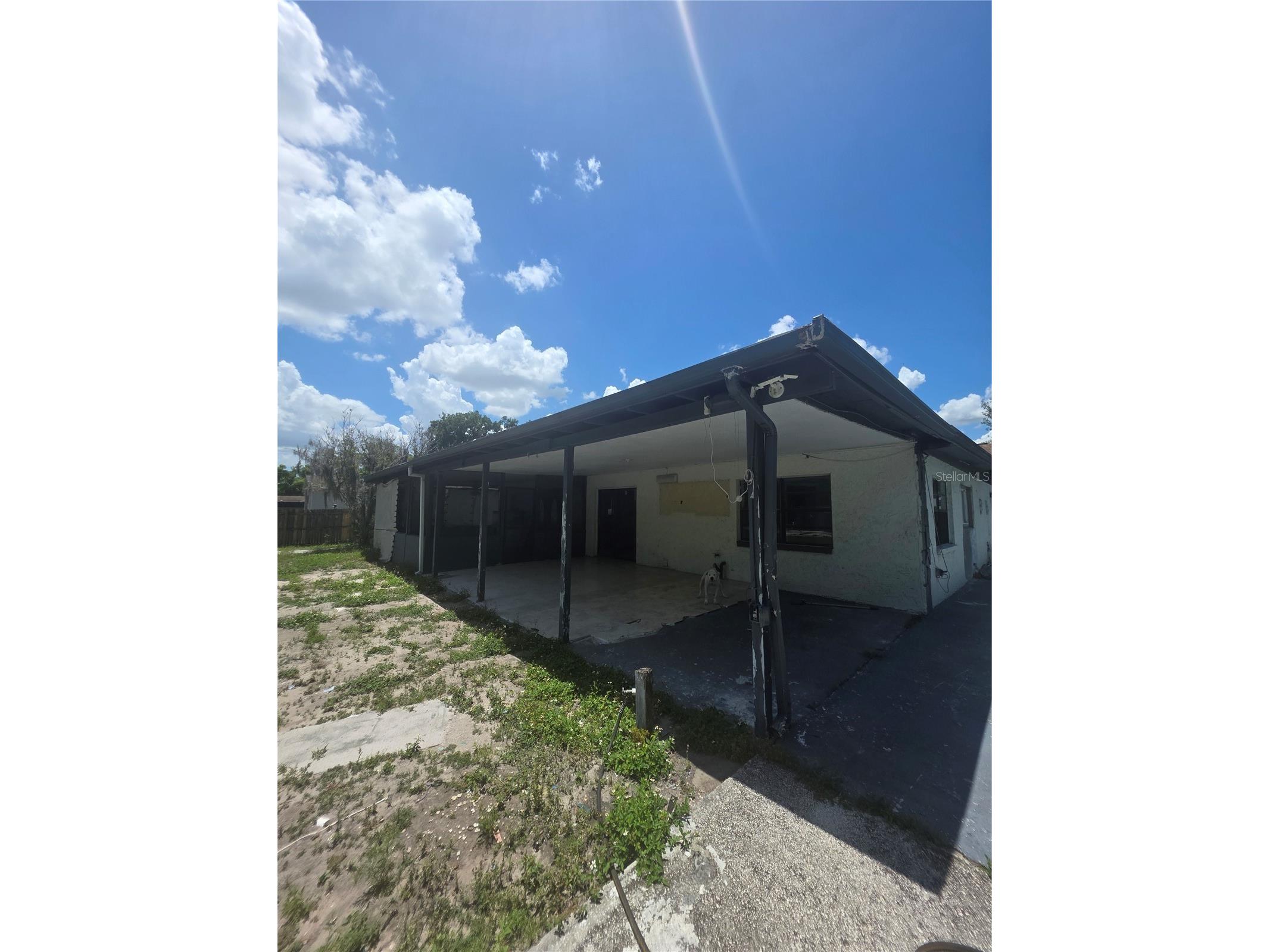 12521 Pittsfield Avenue Tampa FL 33624 W7885914 image9