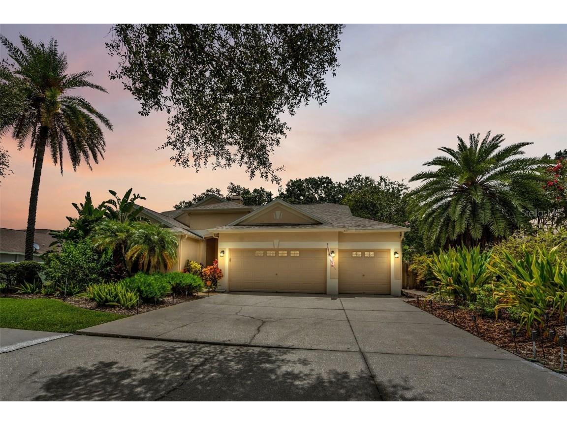 12521 River Birch Drive Riverview FL 33569 T3539019 image1