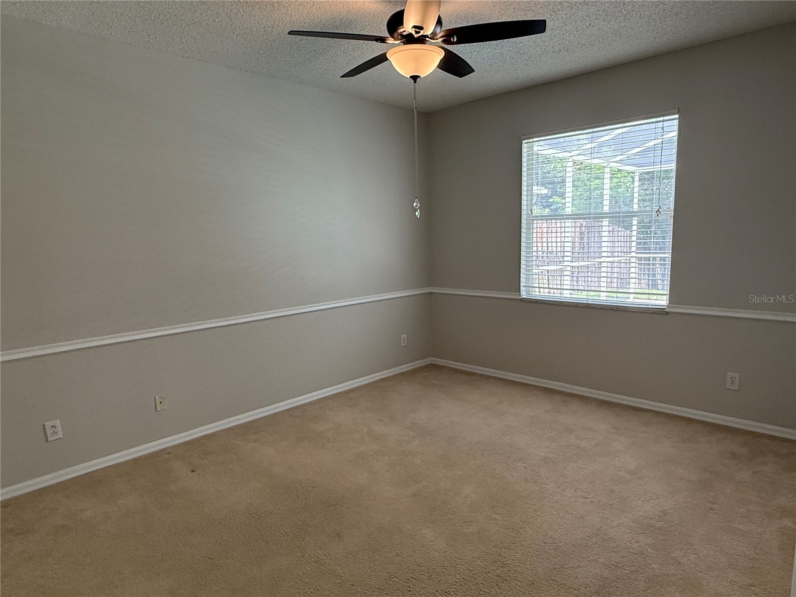 12521 Sparkleberry Road Tampa FL 33626 TB8527287 image19