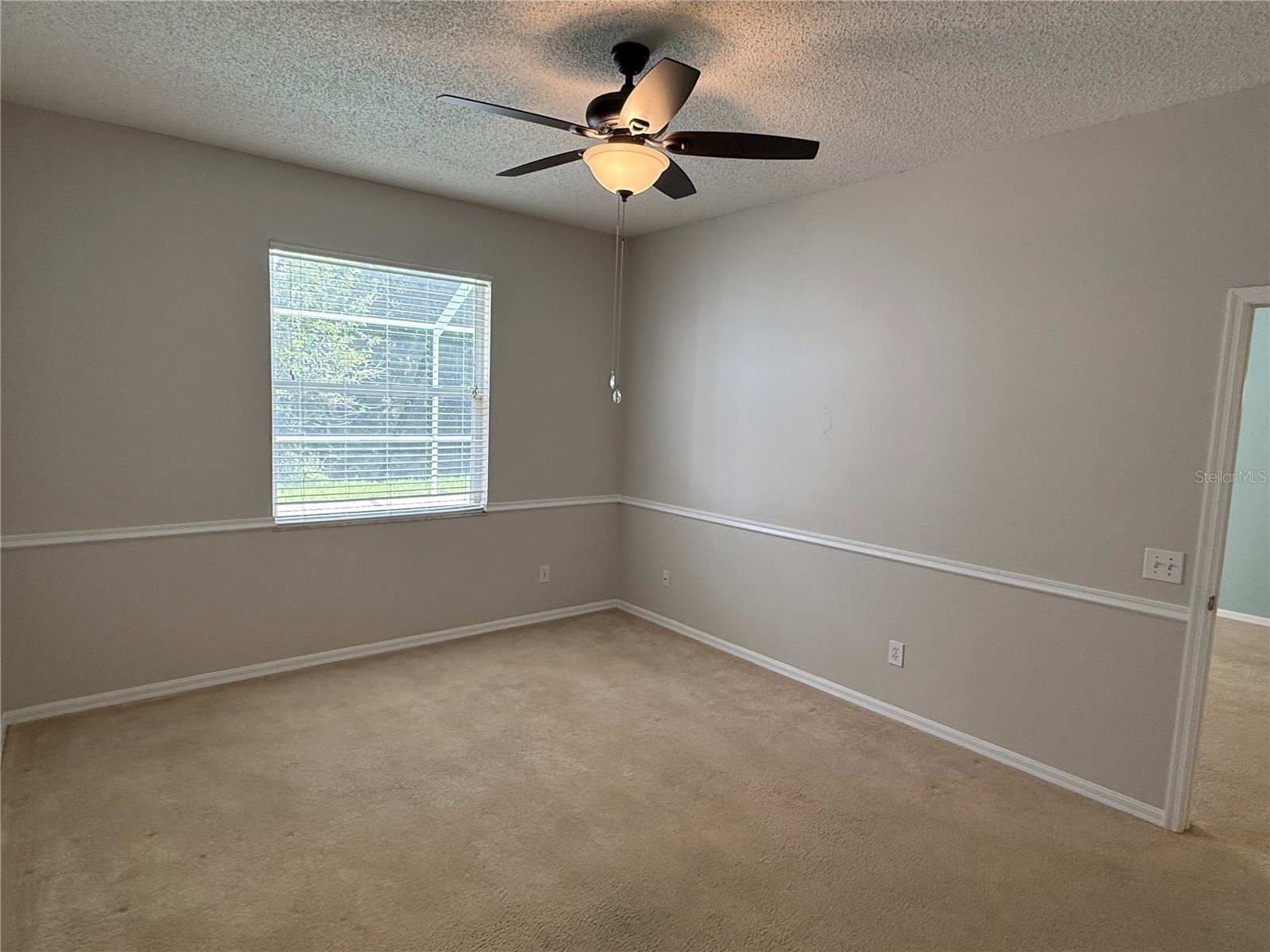 12521 Sparkleberry Road Tampa FL 33626 TB8527287 image20