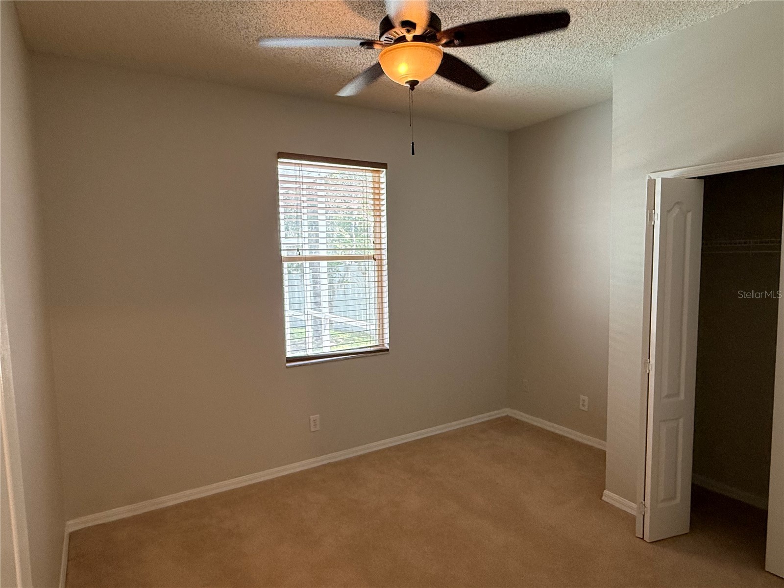 12521 Sparkleberry Road Tampa FL 33626 TB8527287 image29