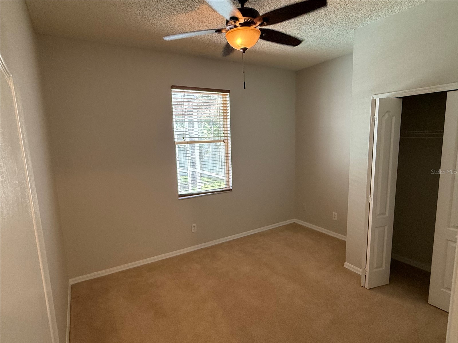 12521 Sparkleberry Road Tampa FL 33626 TB8527287 image30