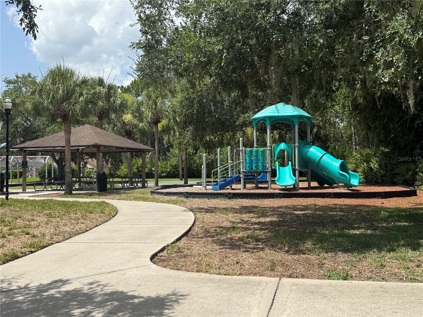 12521 Sparkleberry Road Tampa FL 33626 TB8527287 image40