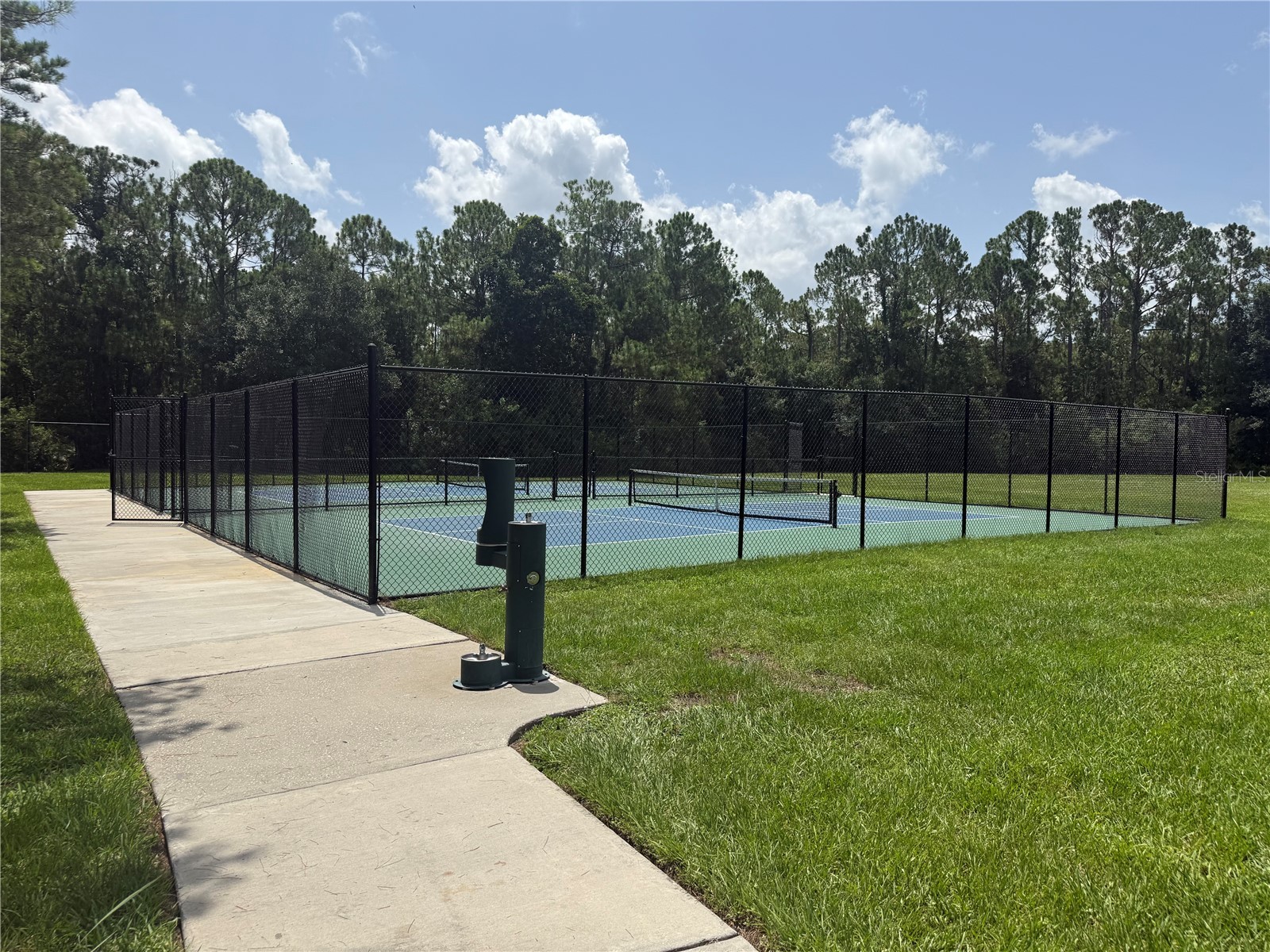 12521 Sparkleberry Road Tampa FL 33626 TB8527287 image41